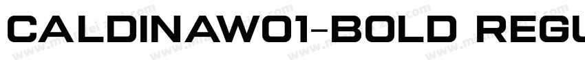 CaldinaW01-Bold Regu字体转换